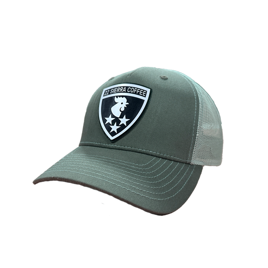 Shield Logo Patch Hat - Sage Green-0